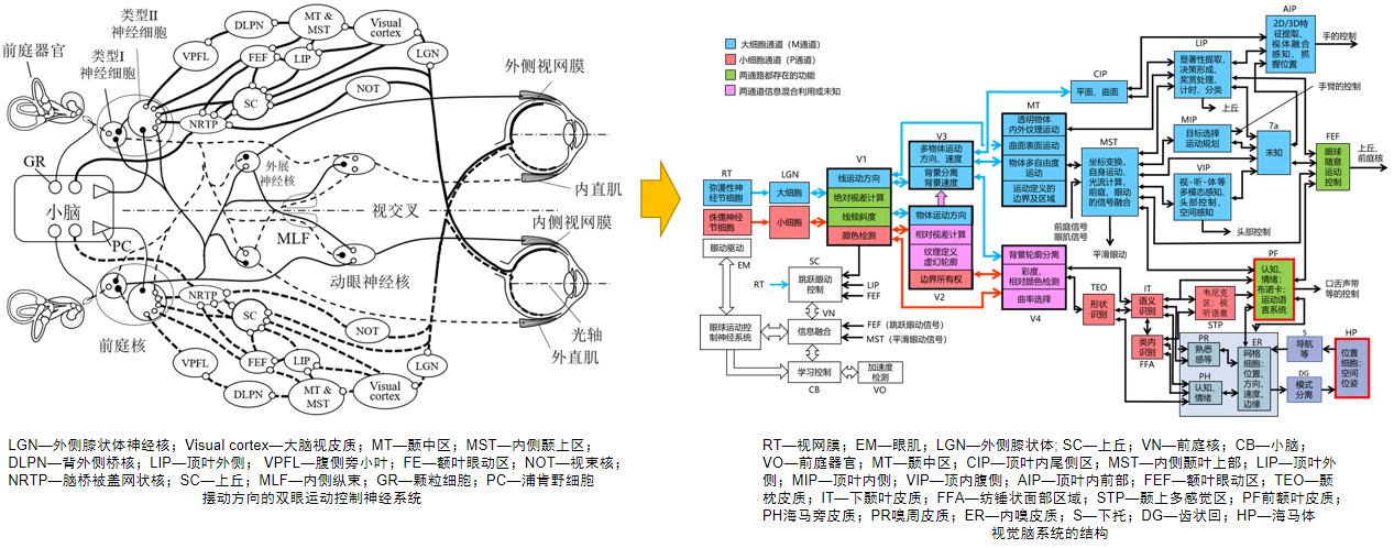 安徽愛觀視覺